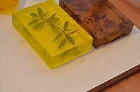 20131201_111120_DSC_0083.JPG