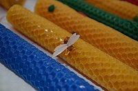 20131208_132546_DSC_0140.JPG